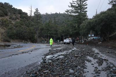 美国加州：死帽菇繁盛，4人误食死亡