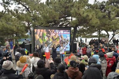 赏鸥迎新春，市南区“鸥伴团圆·迎新春”文明旅游宣传活动启幕