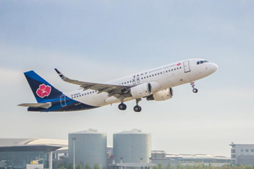 节前广州生鲜进口持续升温，航空物流护航“洋年货”