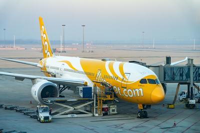 周航班量达92架次！青岛机场东南亚航线活力足人气旺