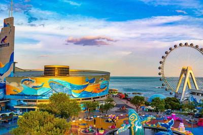 官宣延长！青岛票根经济淡季优惠持续至3月底