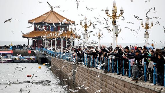 春节假期最后一天，青岛栈桥依然人流如潮