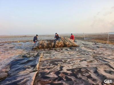 24小时转运一刻不停！春节期间，青岛水务固废公司接收生活垃圾23838吨
