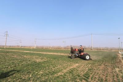 青岛这场“田间课堂”上，省市农技专家一线“把脉问诊”......