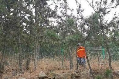 2025年全国森林草原火灾起数为历史最低 