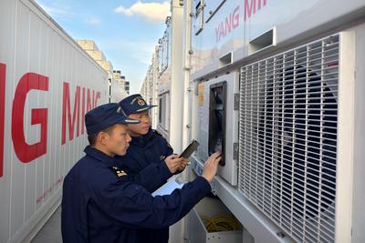 青岛：“一企一策”通堵点，助推保温式集装箱出口