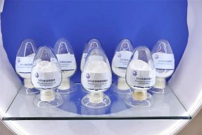 精準(zhǔn)洞悉前沿市場需求！堿業(yè)發(fā)展新年實現(xiàn)核心賽道新突破