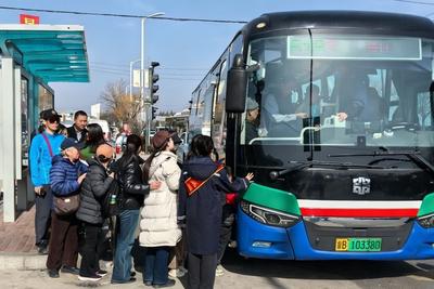 一线一策、分时定制！春节假期，青岛温馨巴士累计运送乘客近百万人次