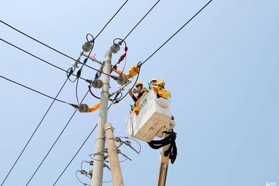 2025年青岛全社会用电量同比增6.74%