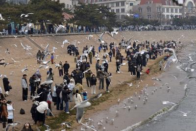 厄尔尼诺140年来最强？国家气候中心回应：中等及以上强度