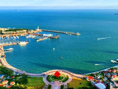 开局“十五五” 奋斗正当时 |​ 青岛聚力打造北方OPC先行示范城