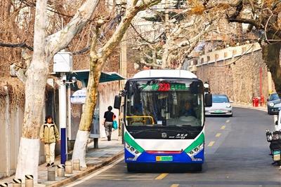 漫游老城街巷，共赏春日浪漫！青岛巴士开出“玉兰之约”主题车