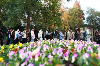 “体制内躺平岗位排名”“最清闲神仙单位指南”……醒醒！