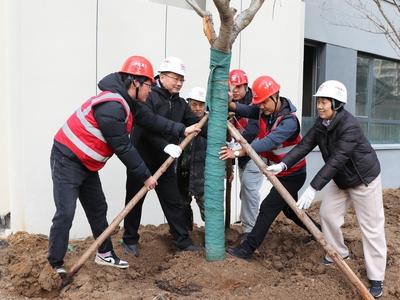 植绿新家园！即墨中心城项目组织植树节活动，共建幸福安置区