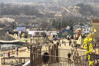 让“颜值”转化为“产值”，杨家山里第四届田园生活节暨赏花季启动