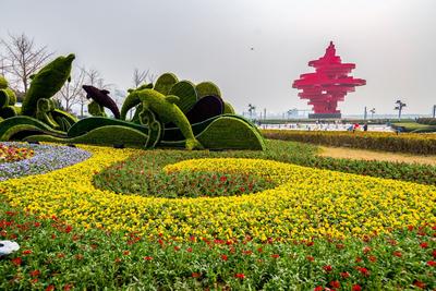 提供更加快捷、便利的查询服务！“青岛12345”上线智能客服