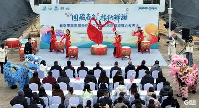 画美达尼青岛市乡村振兴片区春季果蔬采摘季启幕 全年80余场节庆活动铺展四季文旅画卷