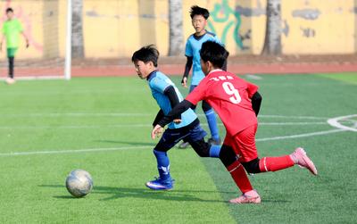 山东255所！2025全国青少年校园足球特色学校名单公布