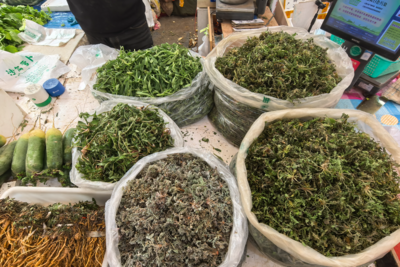 清热解毒的“春日野菜之王”，每次食用别超过4两！青岛疾控专家提醒→