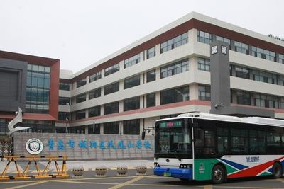 填补盲区、便捷出行！青岛这两条公交线路今起调整