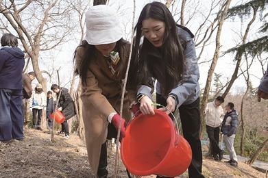 青岛：全民履“植”，绘就公园城市底色