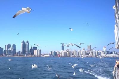 青岛海洋旅游为何受欢迎？人气旺更要秩序好，联合运营守护游玩体验