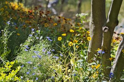 清明假期临近，这些区域森林草原火险等级升高