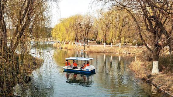 徜徉花海、泛舟湖上……城阳这处公园春光正好