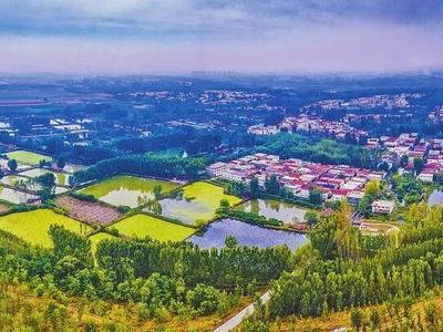 培育乡村“合伙人” 共绘振兴新图景