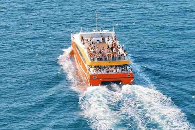 1分钱带娃坐船研学，青岛推出“海鸥告别季·少年海洋科普游”活动