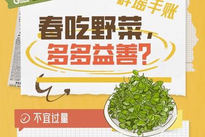 辟谣手账 | 春吃野菜，多多益善？