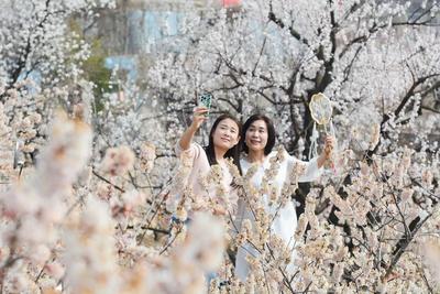 春装可以登场了！下周北方多地气温将创新高