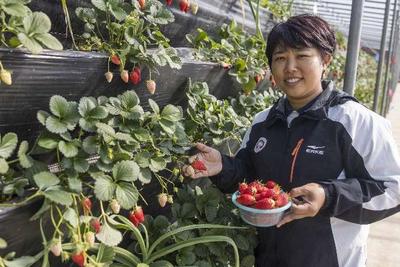 青岛1人获全国三八红旗手