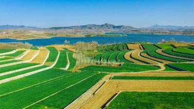 望岳谈｜土地承包延长30年：这个“定心丸”，来得好！