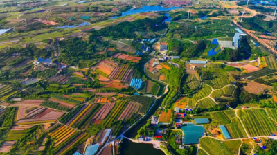 深读报告丨乡村振兴齐鲁样板，如何从“打造”迈向“升级”？