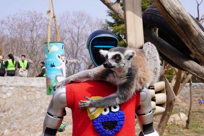 AI科技融青野，春日繁花伴萌生！青岛这个景点开启春日文旅盛宴