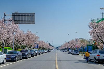 最高27℃！山东晴暖升级，多地气温将连创新高