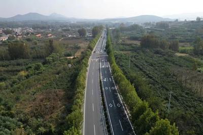 “两轴”“三廊”“五区”：青岛聚力打造路域环境最美路段