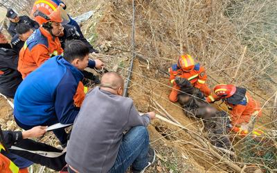九旬老人失足“吊挂”水库上方！命悬“一线”时，警民联手紧急施救