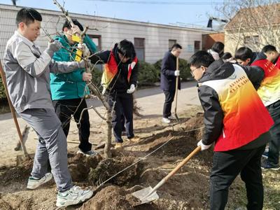 不负春光添新绿！青岛农科院种下自主创新种苗