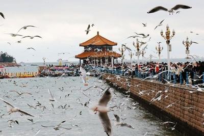 青岛市市南区：一线转作风 实干促发展