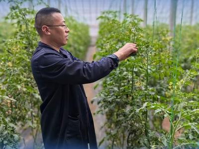 春耕春管田间行丨指尖一点，“云端”种菜