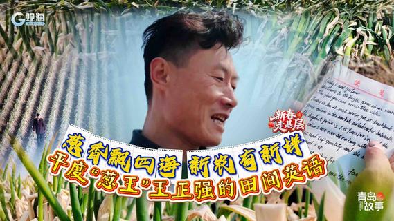 新春走基层丨葱香飘四海，新农有新样：平度“葱王”王正强的田间英语
