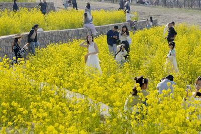 晴暖来袭！26日前后山东多地气温直冲26℃