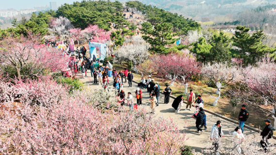 青岛：“千园之城”带来更多生态获得感