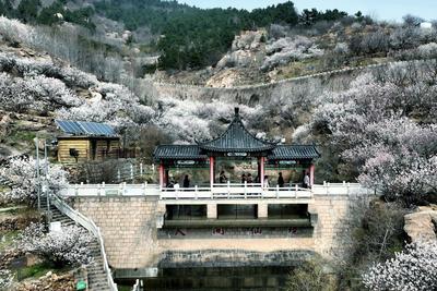 观海锐评 | 激活“春日经济”，共赴“春与人宜”