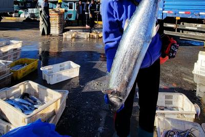 长期海洋变暖致鱼类生物量显著下降