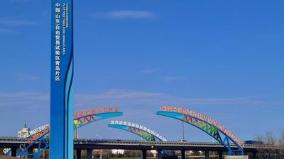 全国首个综保区智慧卡口建设管理团体标准在青岛自贸片区正式发布