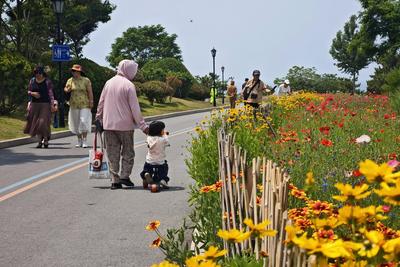 《青岛市城市更新条例（征求意见稿）》发布，面向社会公开征求意见建议