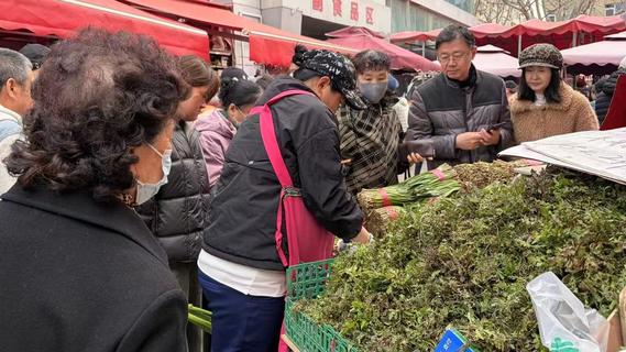 青岛人舌尖上“春天的味道”来了